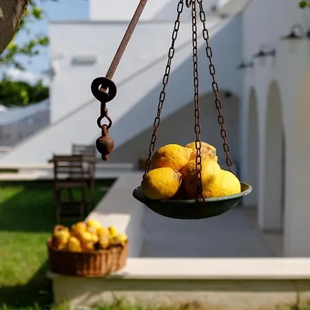 Hotel La Casa Sul Faro