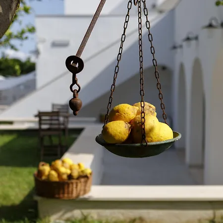 La Casa Sul Faro Hotell
